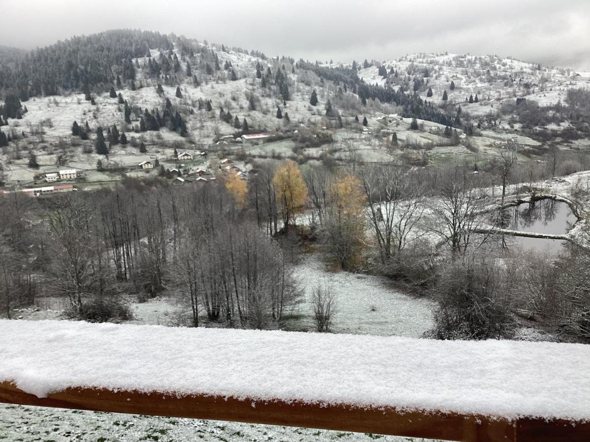 Les Chalets Bambi & Jacuzzi Privatif La Bresse Exterior photo