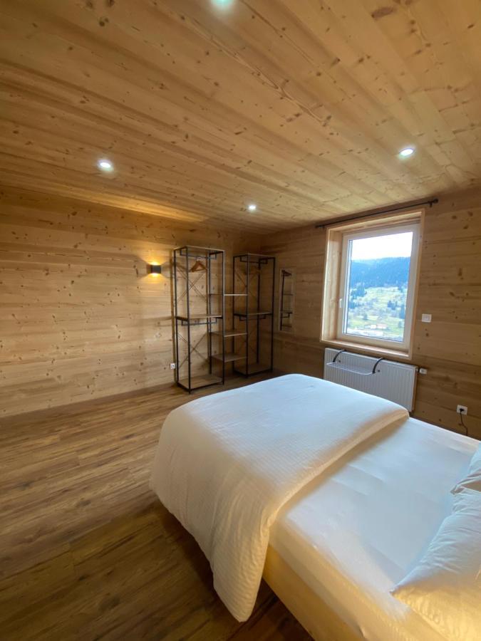 Les Chalets Bambi & Jacuzzi Privatif La Bresse Exterior photo
